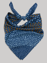 Load image into Gallery viewer, Cotton Bandana by Last Chance Textiles
